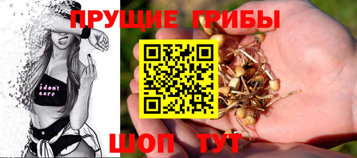 Псилоцибиновые грибы мицелий Братск